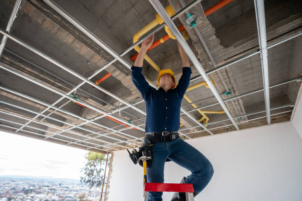 Best Emergency Plumber  in Holly Hill, SC