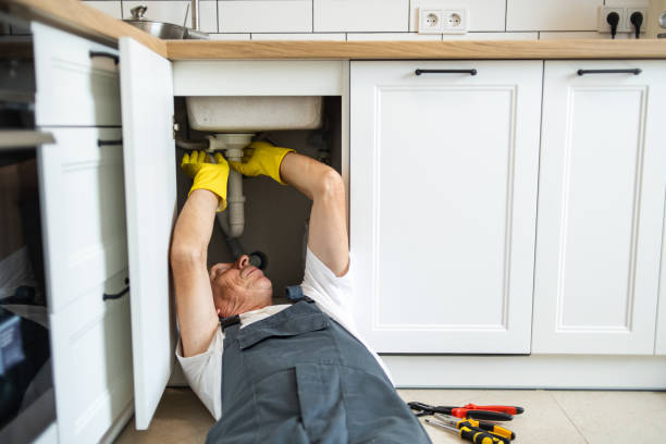 Best Boilers & Radiators  in Holly Hill, SC